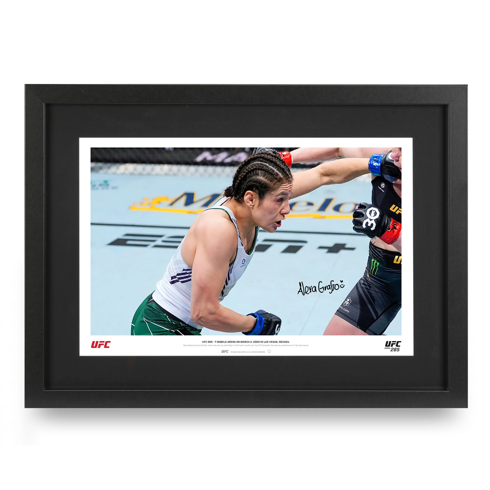 Signed UFC Pictures & Fight Photos