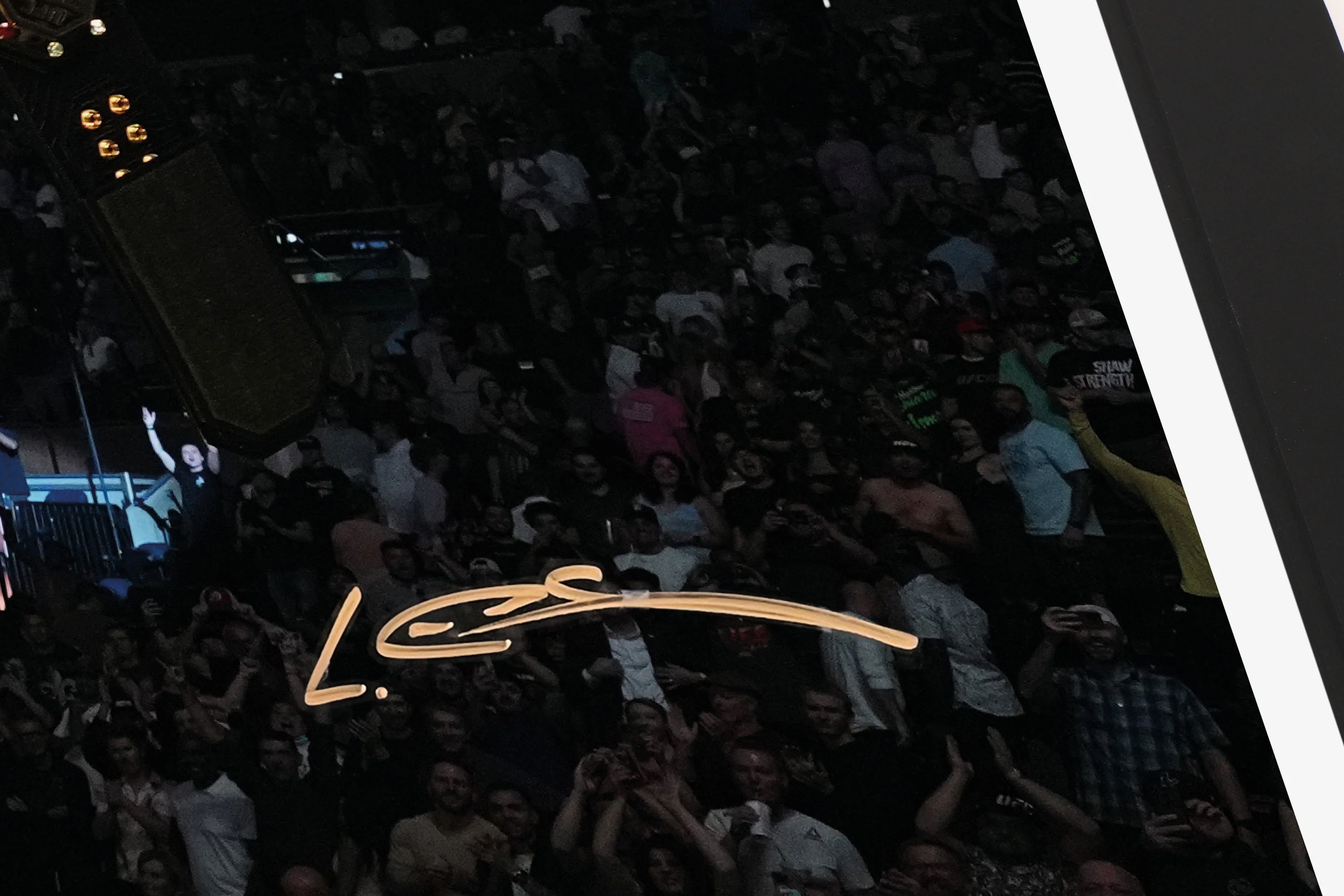 Leon Edwards Signed Photo UFC 278 - Image 4