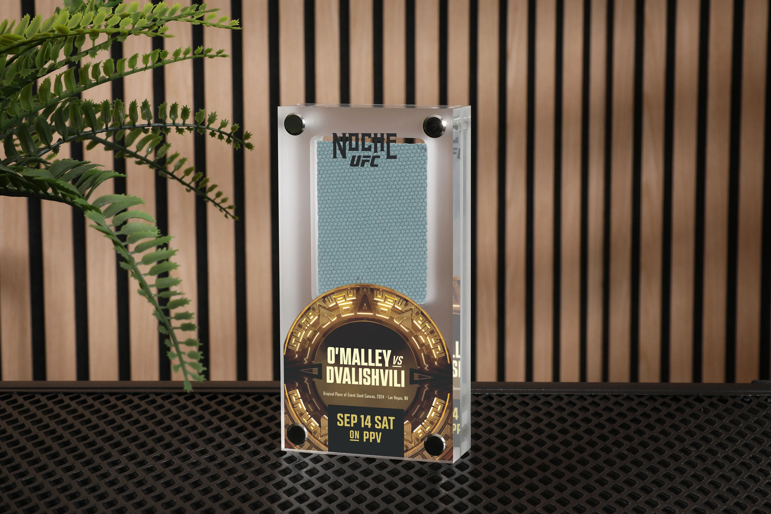 Riyadh Season Noche UFC: O'Malley vs Dvalishvili Canvas in Acrylic - Image 4