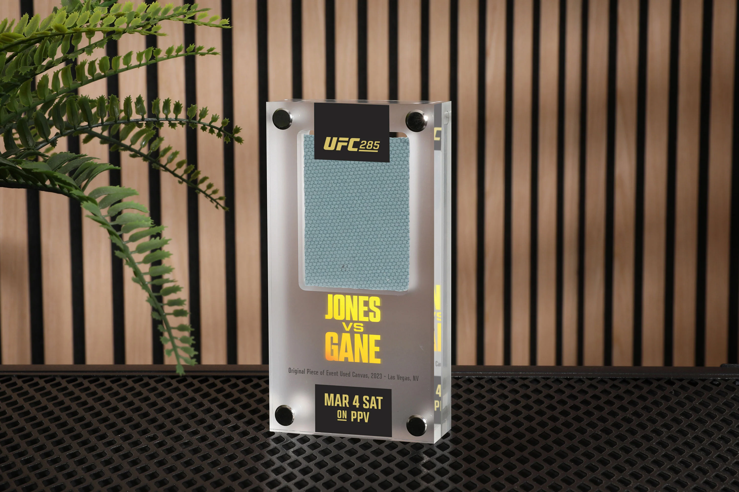 UFC 285: Jones vs Gane Canvas in Acrylic - Image 4