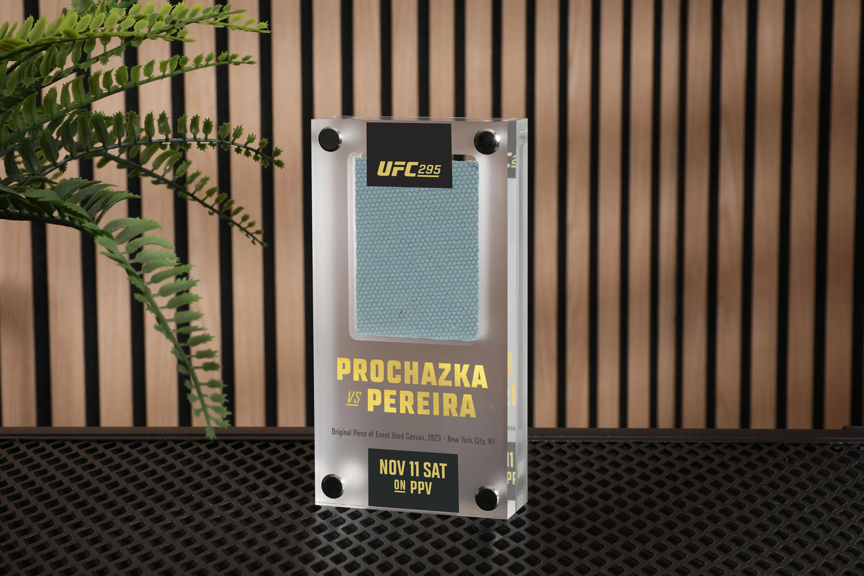 UFC 295: Prochazka vs Pereira Canvas in Acrylic - Image 4