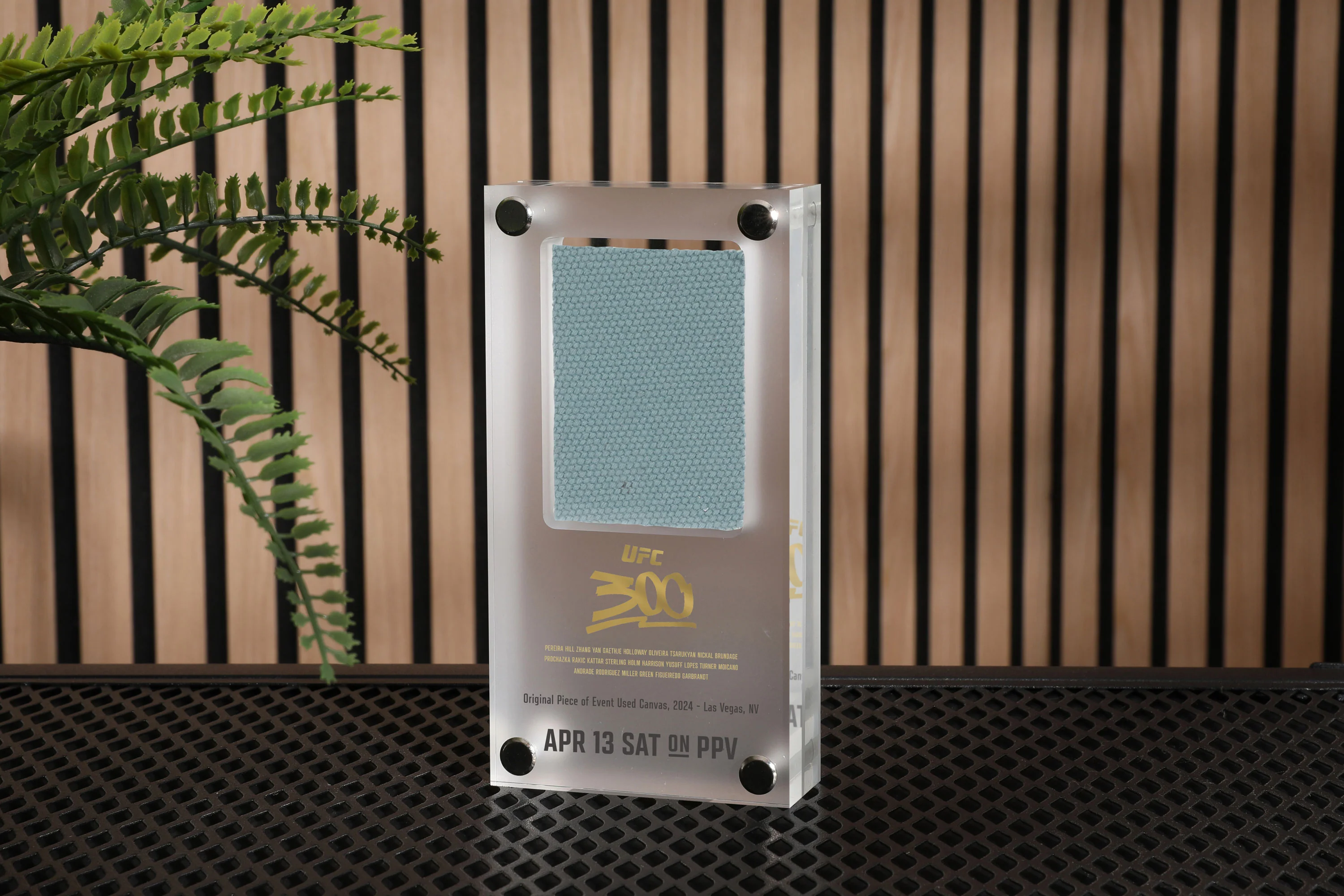 UFC 300: Pereira vs Hill Canvas in Acrylic - Image 4