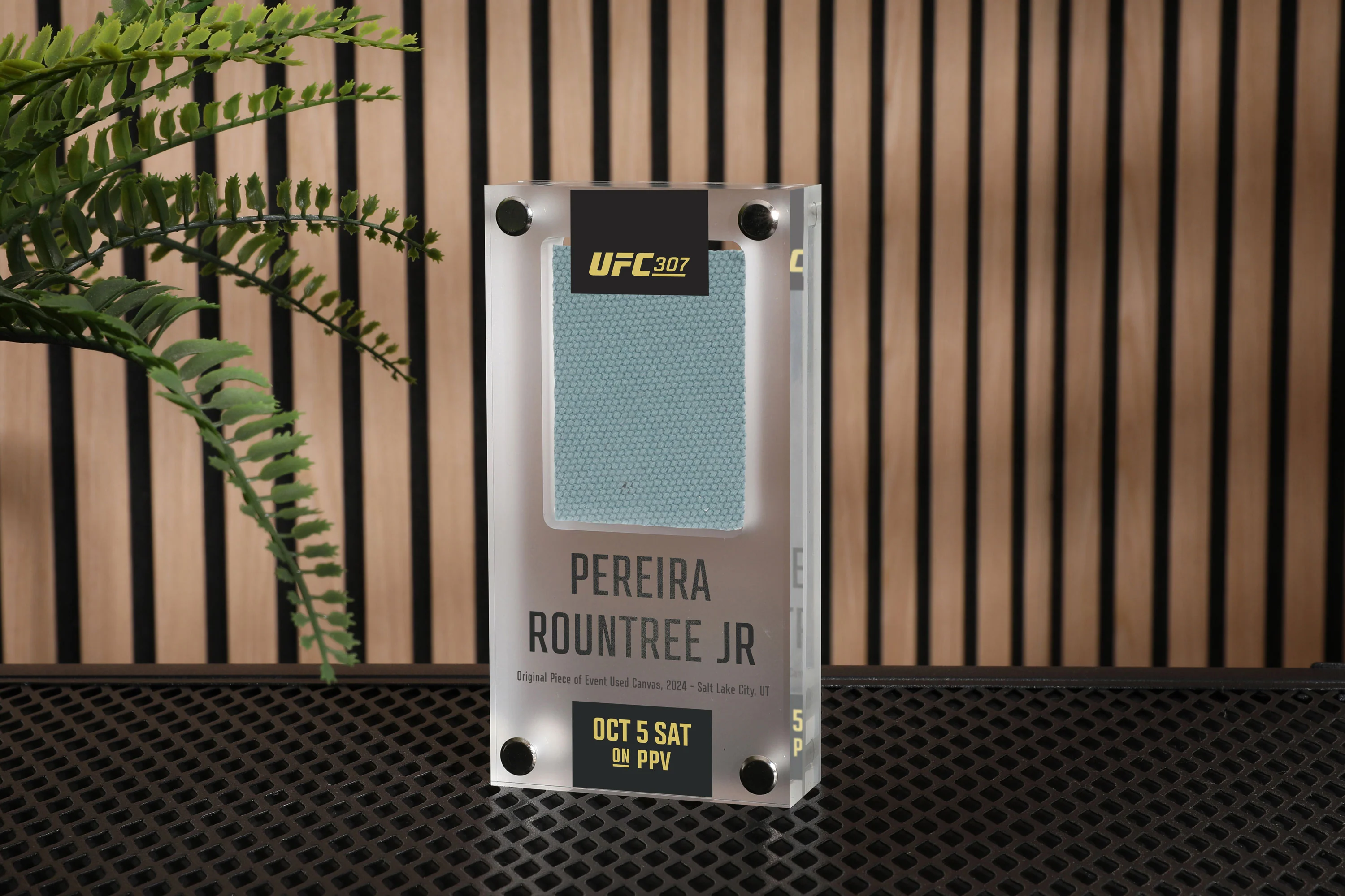 UFC 307: Pereira vs Rountree Jr Canvas in Acrylic - Image 4