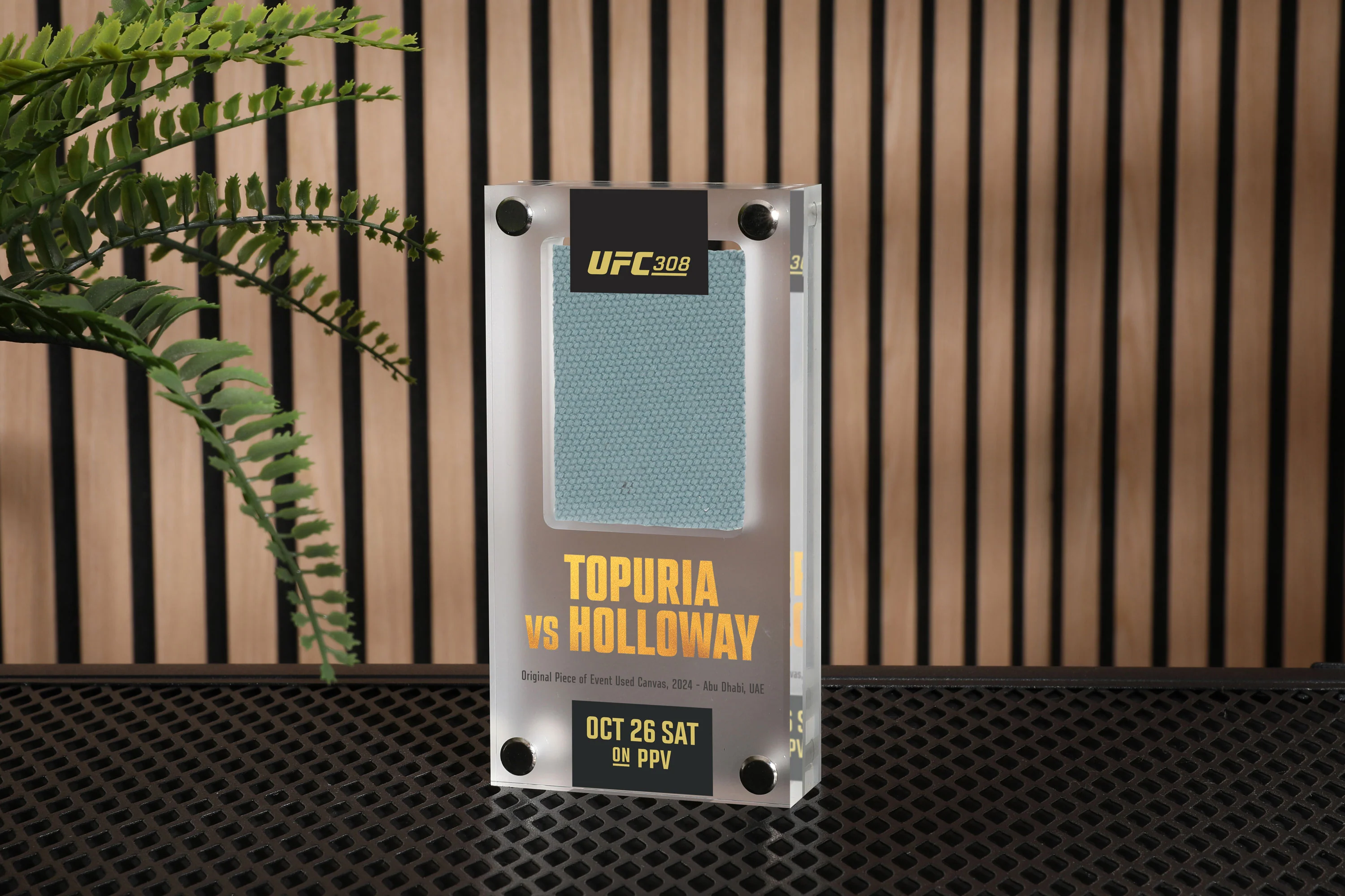 UFC 308: Topuria vs Holloway Canvas in Acrylic - Image 4