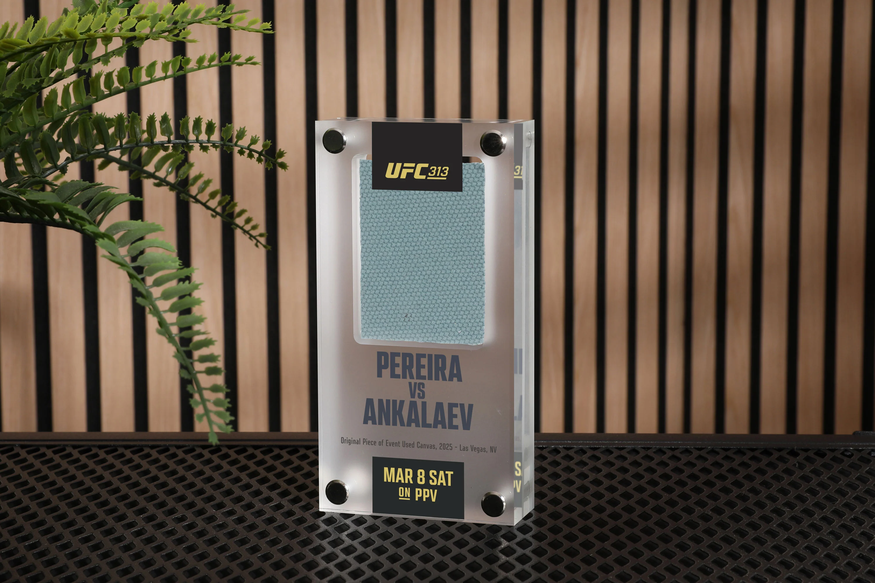 UFC 313: Pereira vs Ankalaev Canvas in Acrylic - Image 4