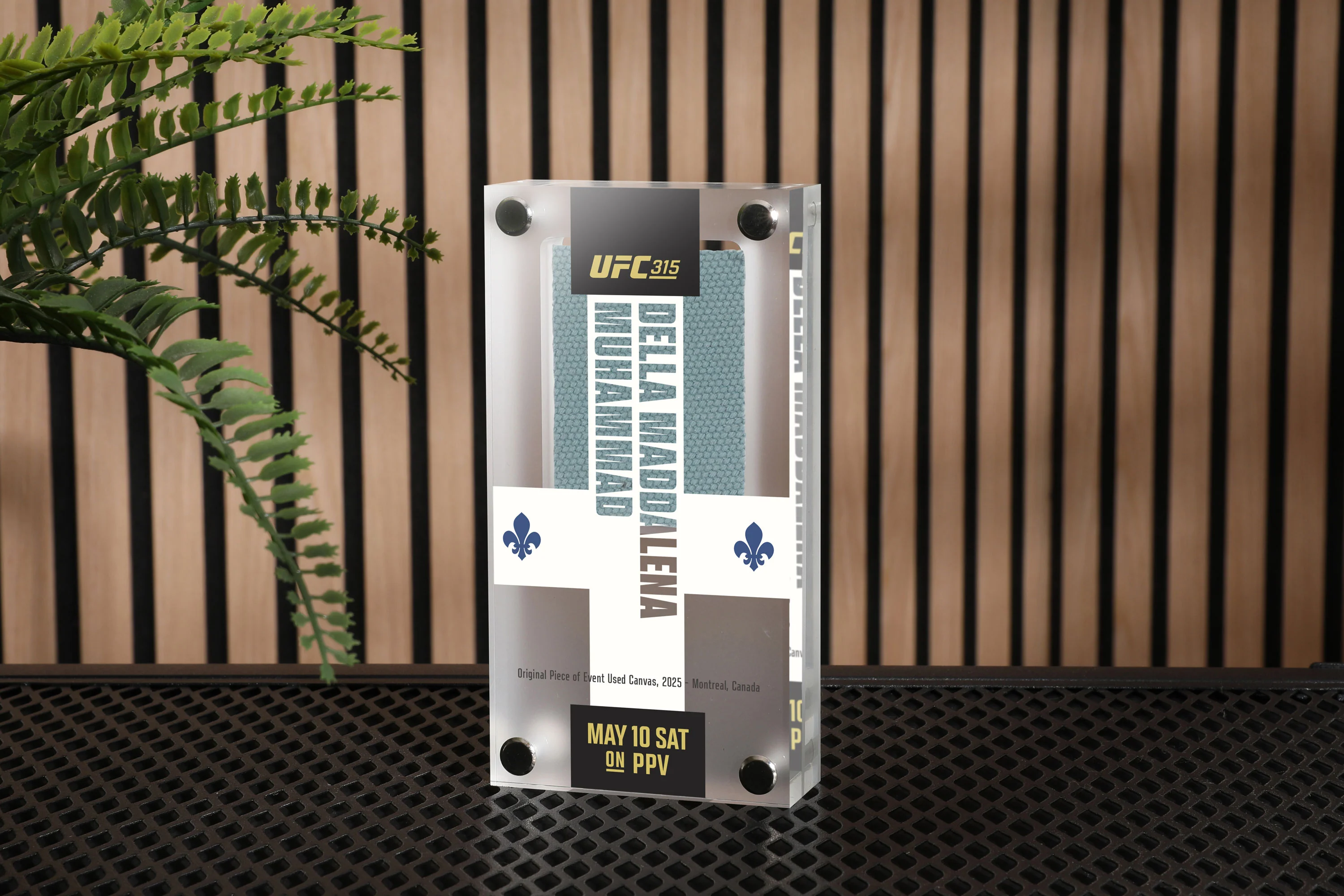 UFC 315: Muhammad vs Della Maddalena Canvas in Acrylic - Image 4