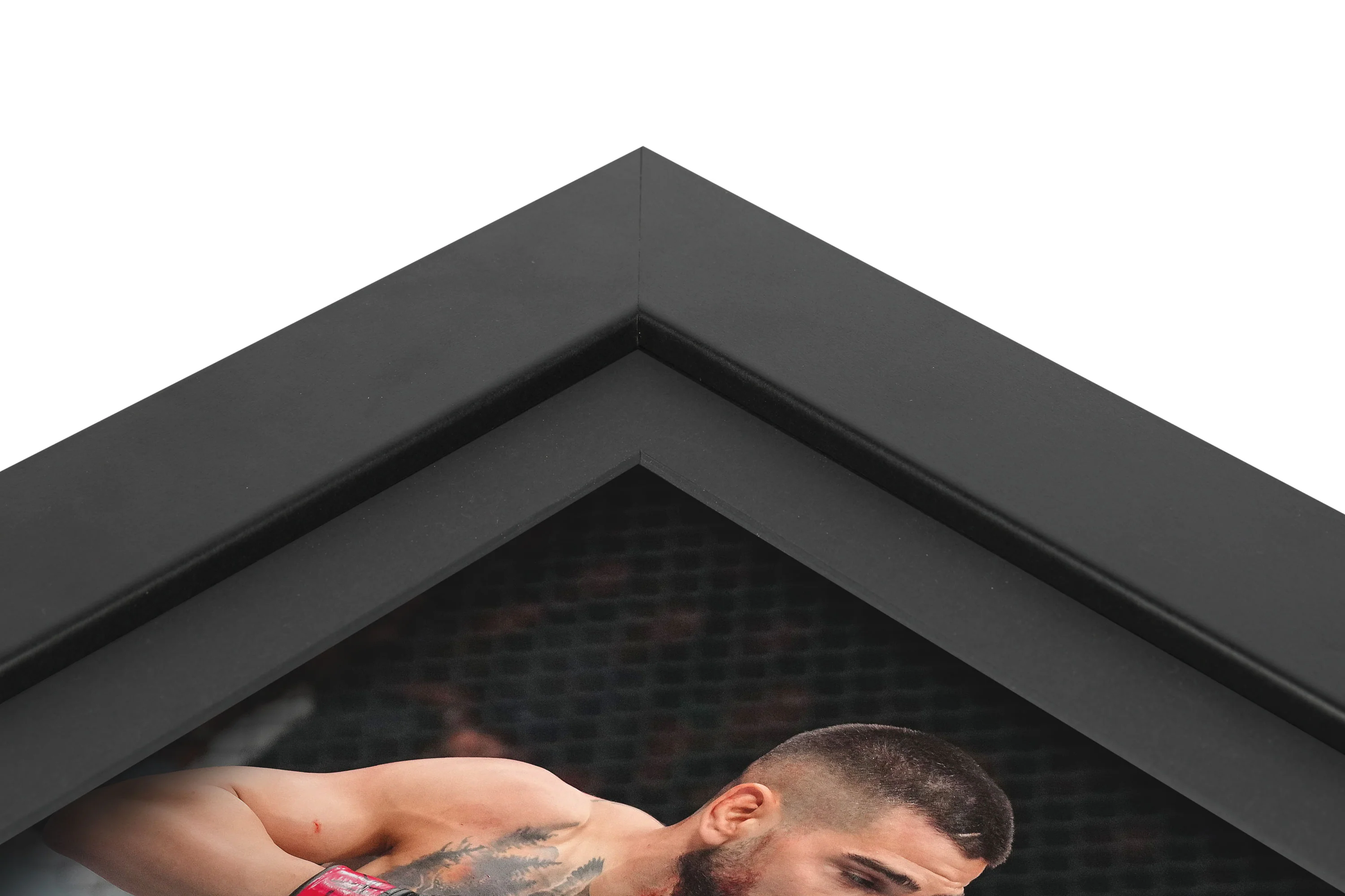 UFC 317: Topuria vs Oliveira Canvas & Photo - Image 4