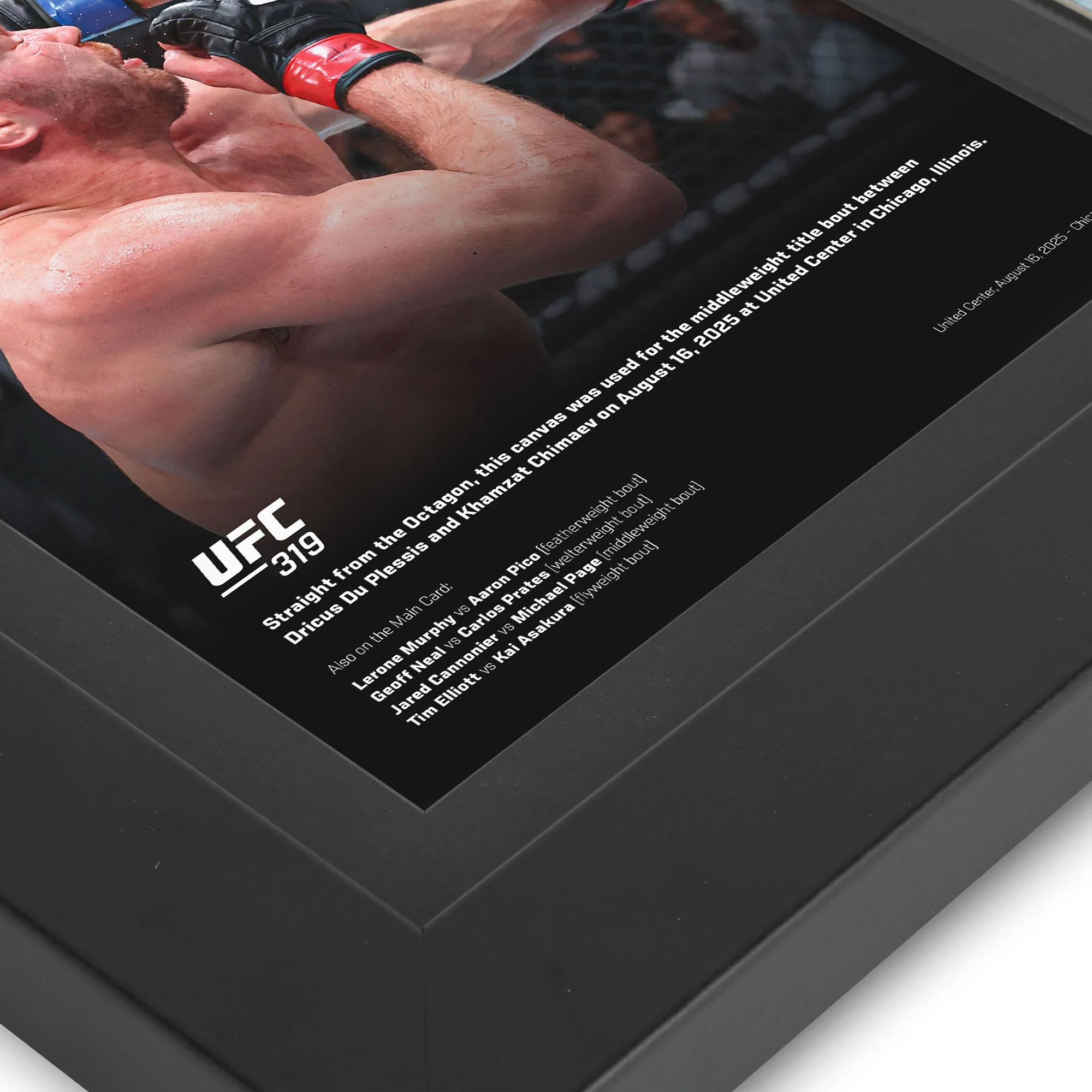 UFC 319: du Plessis vs Chimaev Canvas & Photo - Image 4