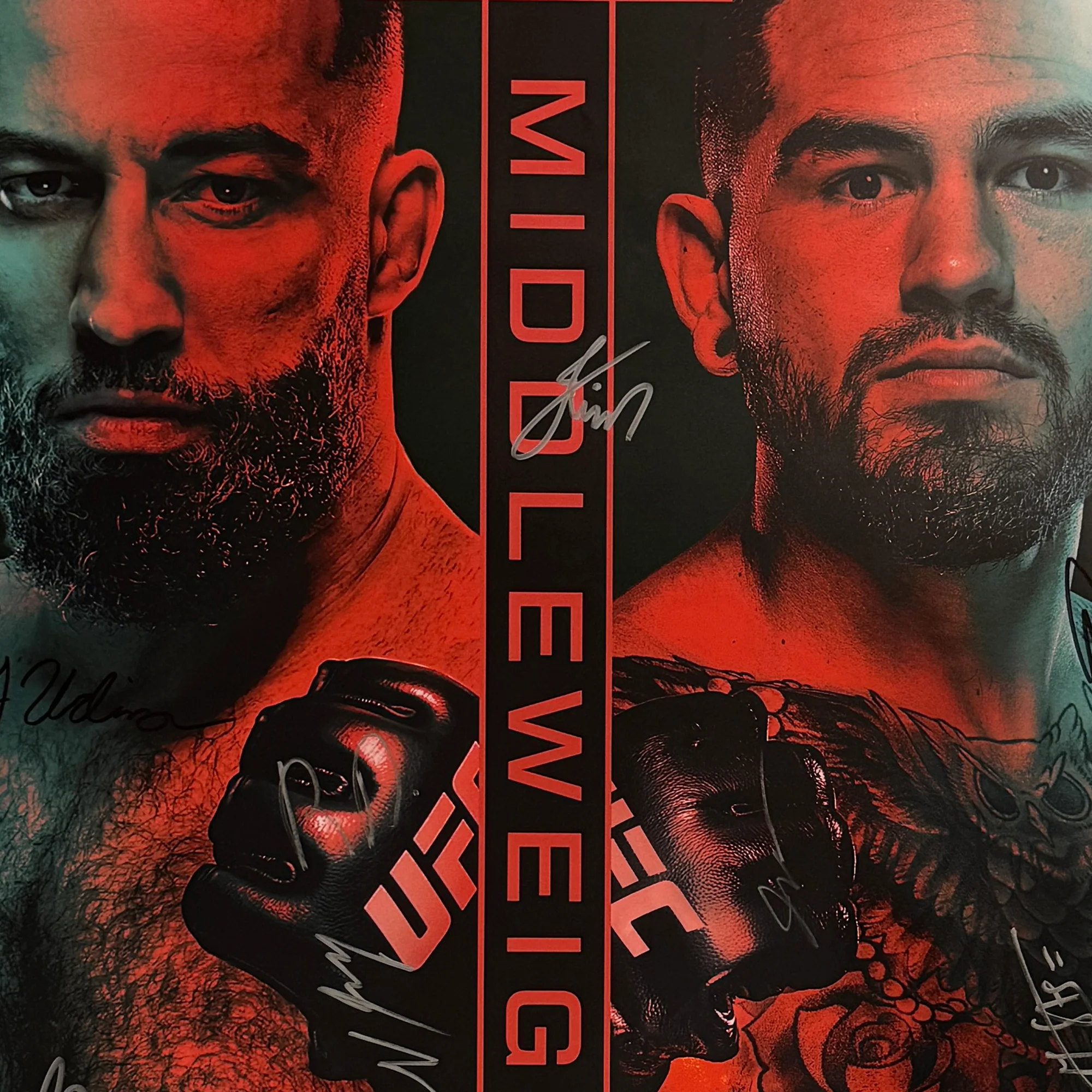 UFC Fight Night: Dolidze vs Hernandez Autographed Event Poster - Image 3