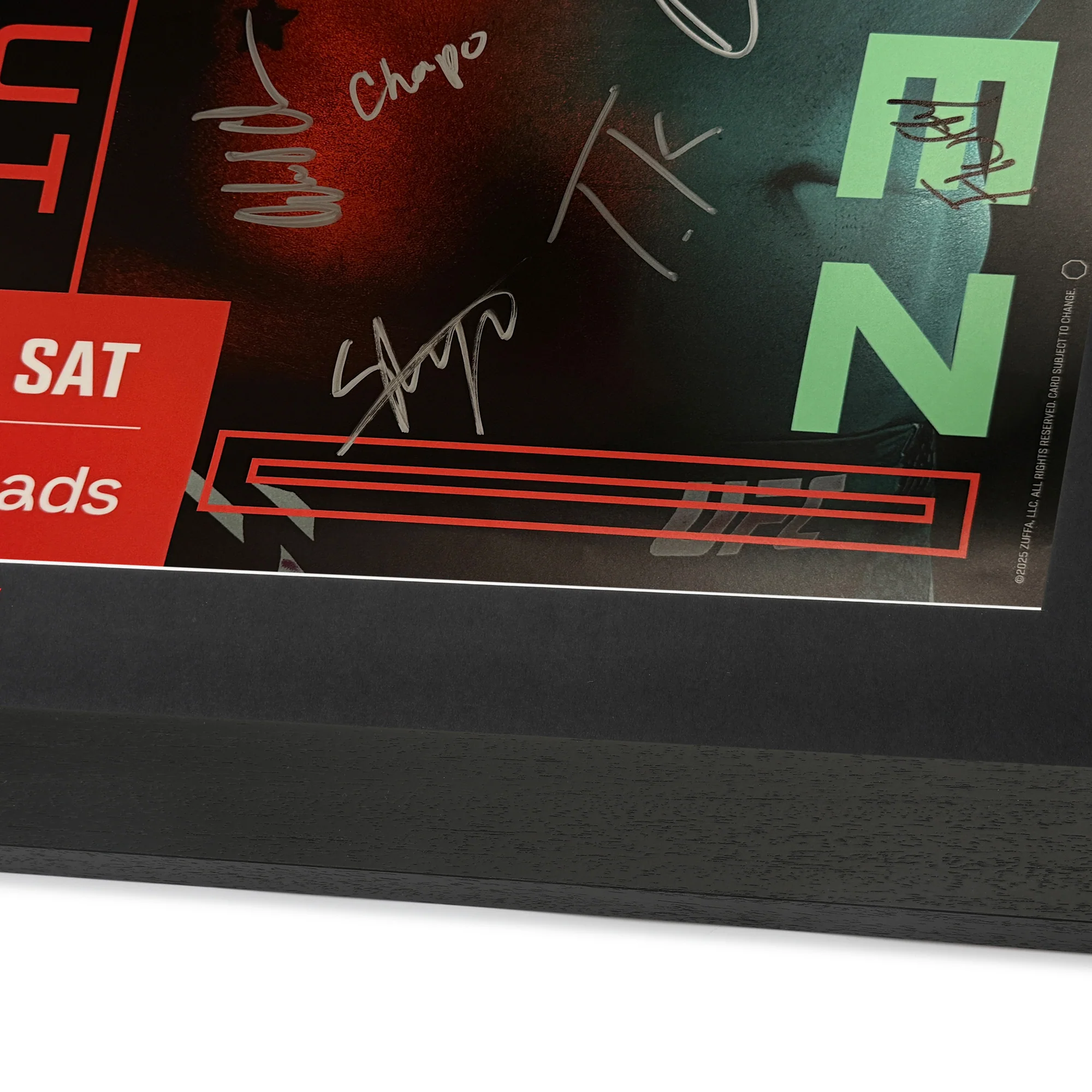 UFC Fight Night: Dolidze vs Hernandez Autographed Event Poster - Image 6